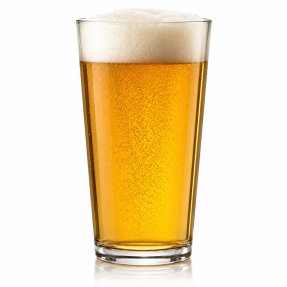 Brooklyn Bierglas 30 cl