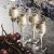 Champagne shotglas 3,5 cl 4-pack