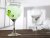 Havana Gin & Tonicglas