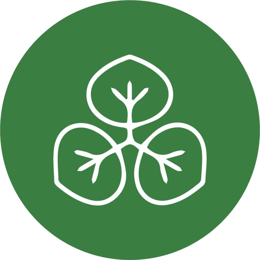 Schwarze Strohhalme aus Biokunststoff, 15 cm, 50er-Pack