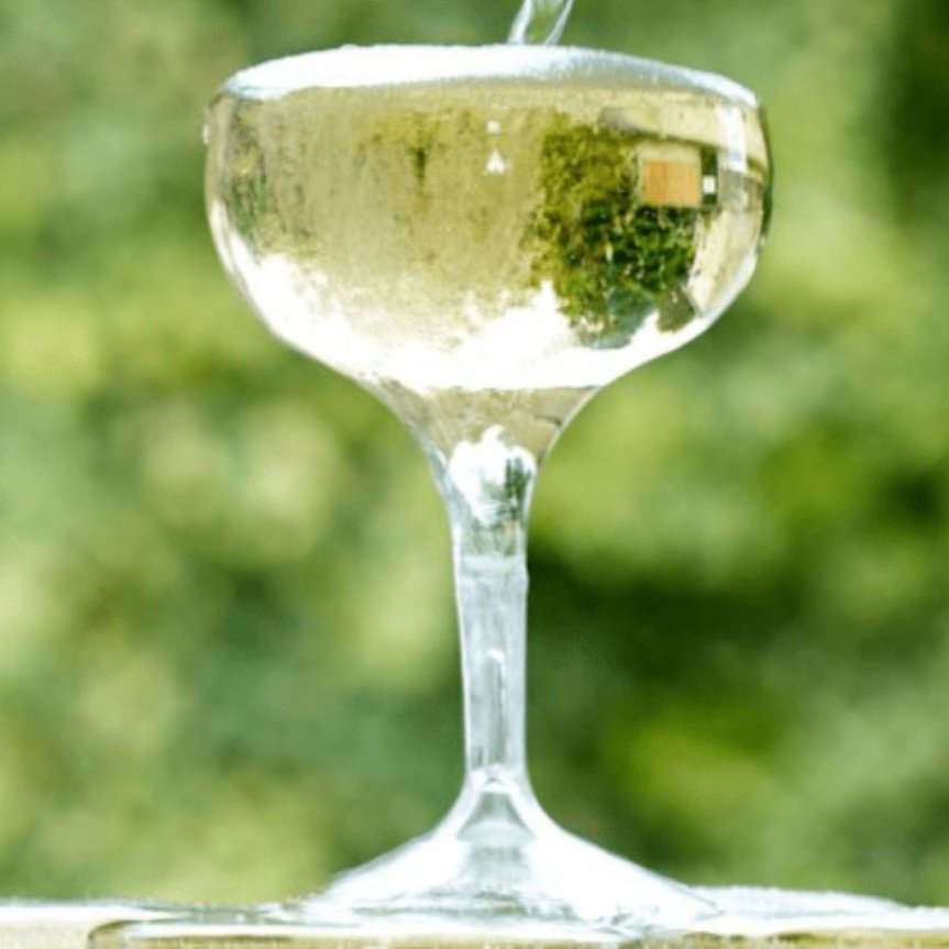 Tinto Champagnerglas Coupé aus Kunststoff 25,5 cl